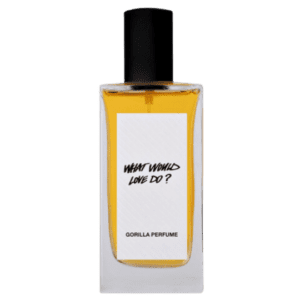 What Would Love Do by Lush Type