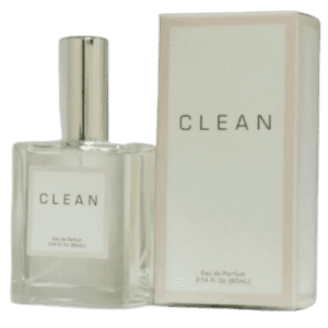 Clean Perfume by Dlish Type
