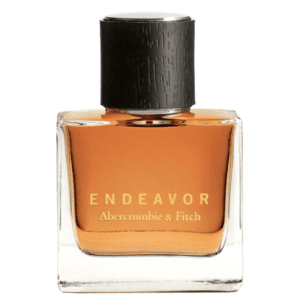 Endeavor by Abercrombie & Fitch Type