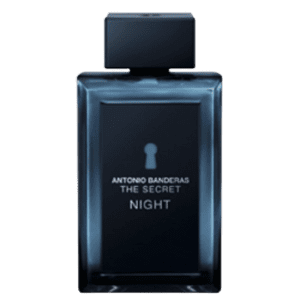 The Secret Night by Antonio Banderas Type