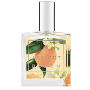 FR6803-Apricot Bloom by Good Chemistry Type