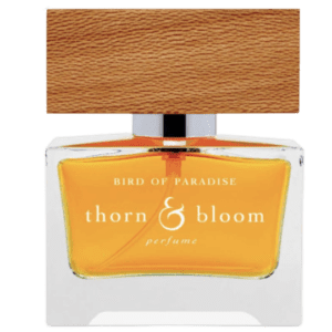 Bird of Paradise by Thorn & Bloom Type