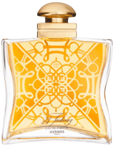 Eperon d'Or Limited Edition by Hermès Type