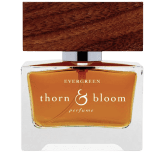 Evergreen by Thorn & Bloom Type