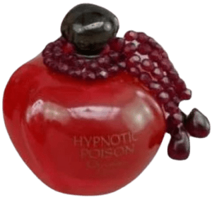 Hypnotic Poison Diable Rouge by Dior Type