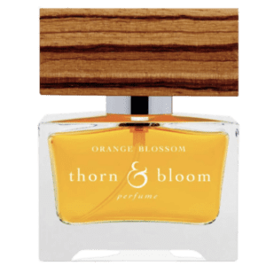 Orange Blossom by Thorn & Bloom Type