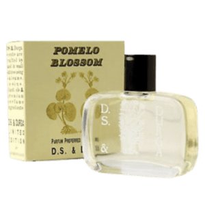 Pomelo Blossom by DS&Durga Type