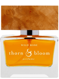 Wild Rose by Thorn & Bloom Type
