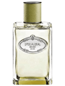 Infusion de Vetiver (2015) by Prada Type