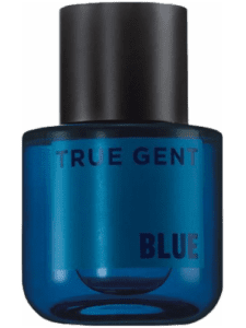 True Gent Blue by Avon Type