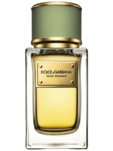 Velvet Bergamot by Dolce & Gabbana Type