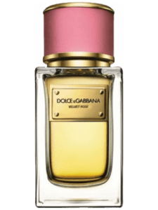 Velvet Rose by Dolce & Gabbana Type