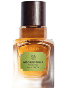 Widdringtonia by The Body Shop Type