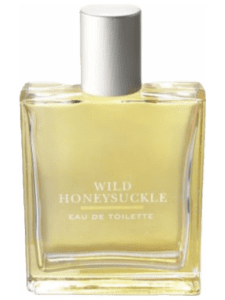 Wild Honeysuckle by Bath And Body Works Type